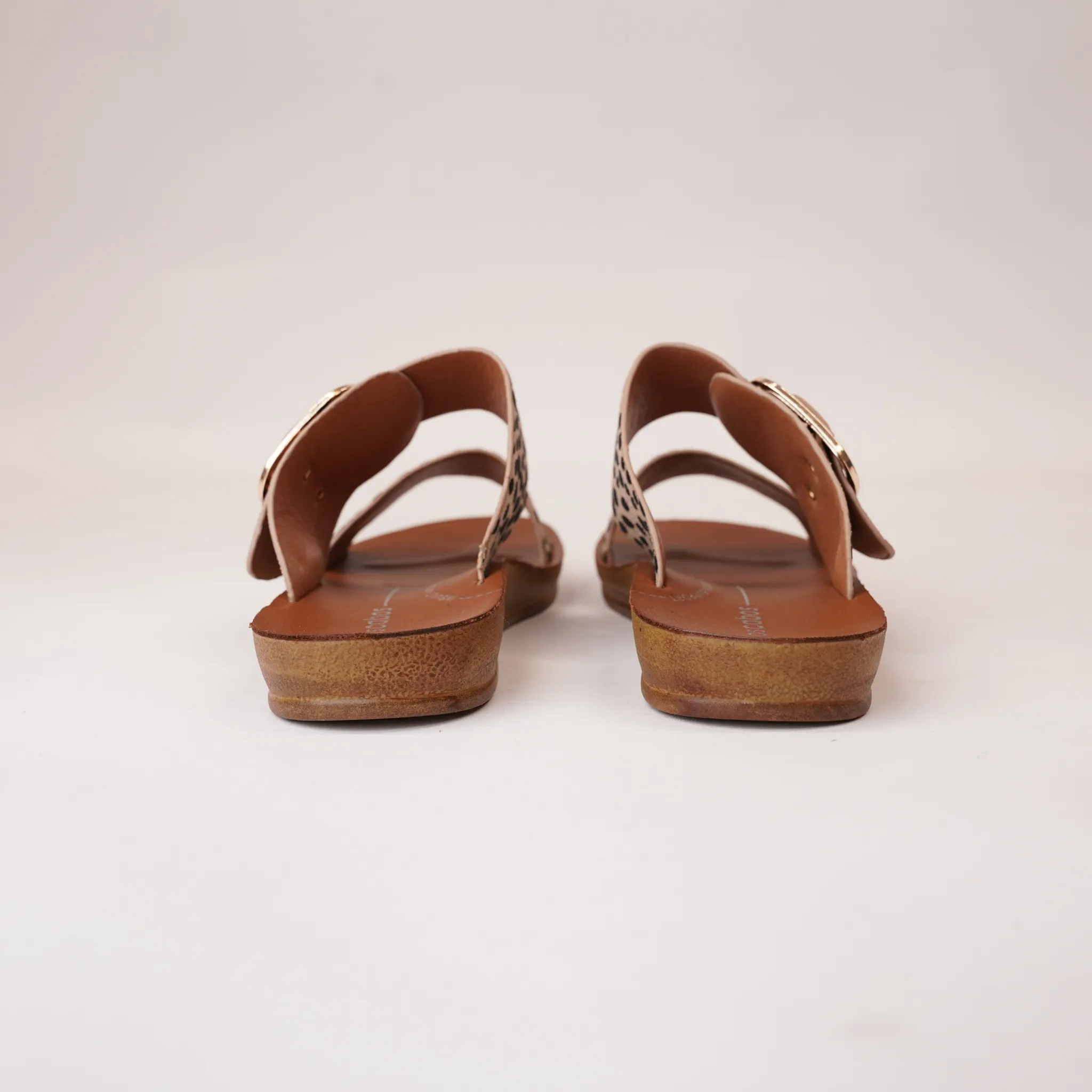 Doti Cheetah Slides